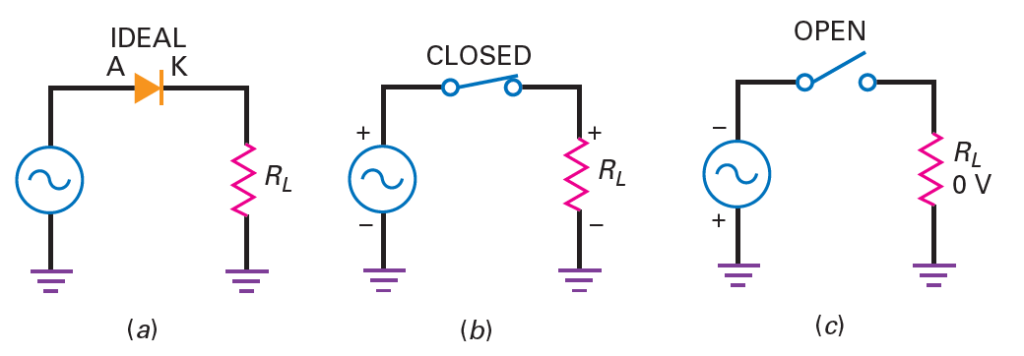 half wave rectifier circuit behavior 