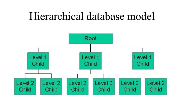 Hierarchical database
