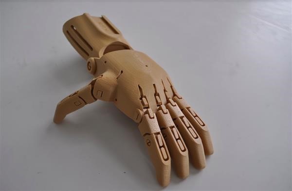 Prosthetic Model