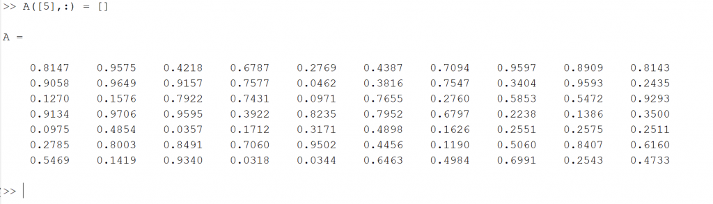 delete a single row in matlab