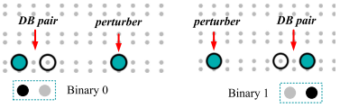 DB pair & Perturber