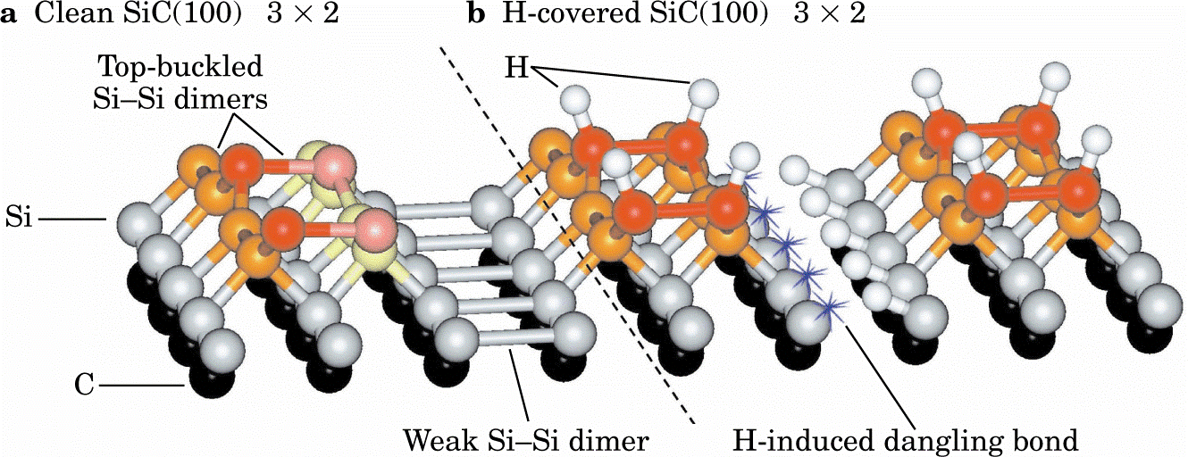 Dangling Bond chemistry