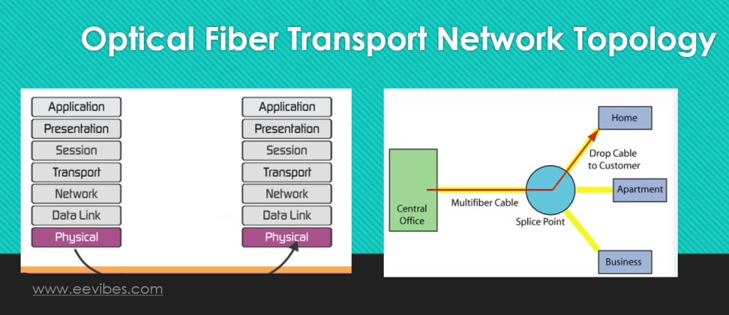 Optical Fiber Transport Network Topology